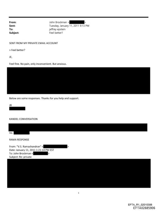 Preview of EFTA02685906