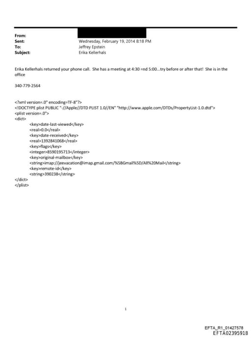 Preview of EFTA02395918