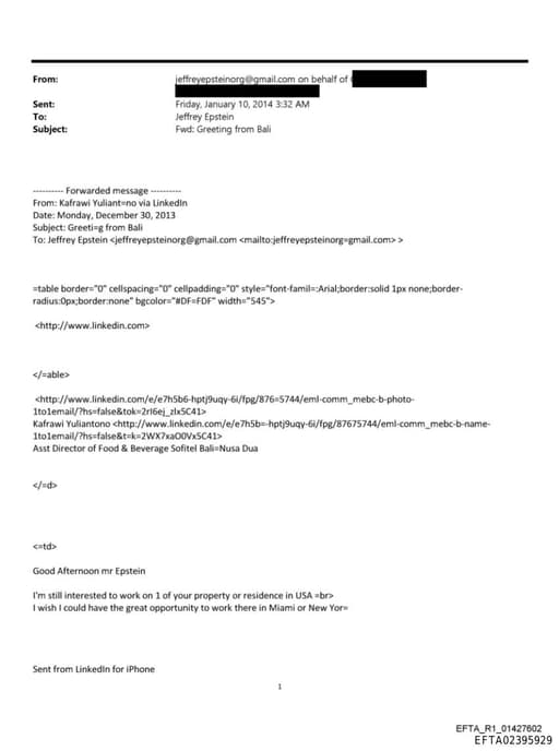 Preview of EFTA02395929