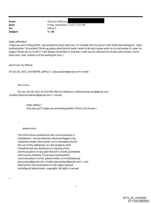 Preview of EFTA02395945