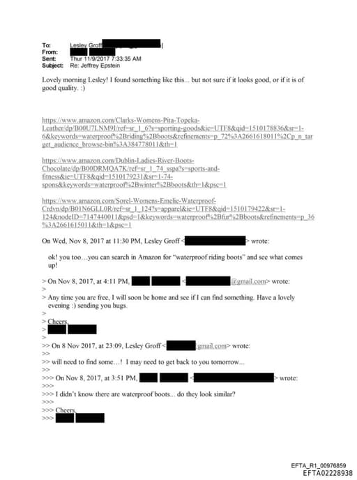 Preview of EFTA02228938