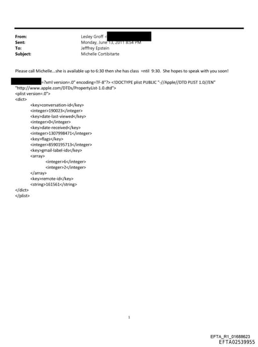 Preview of EFTA02539955