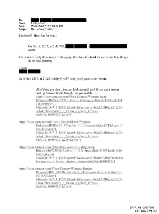 Preview of EFTA02229346