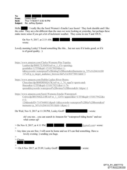 Preview of EFTA02229330