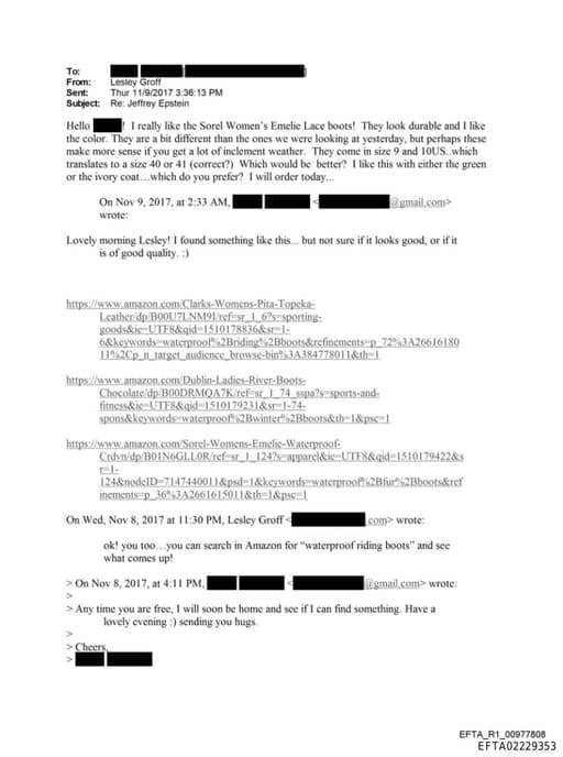 Preview of EFTA02229353