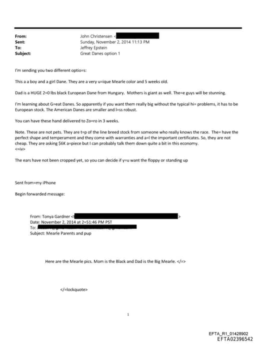 Preview of EFTA02396542