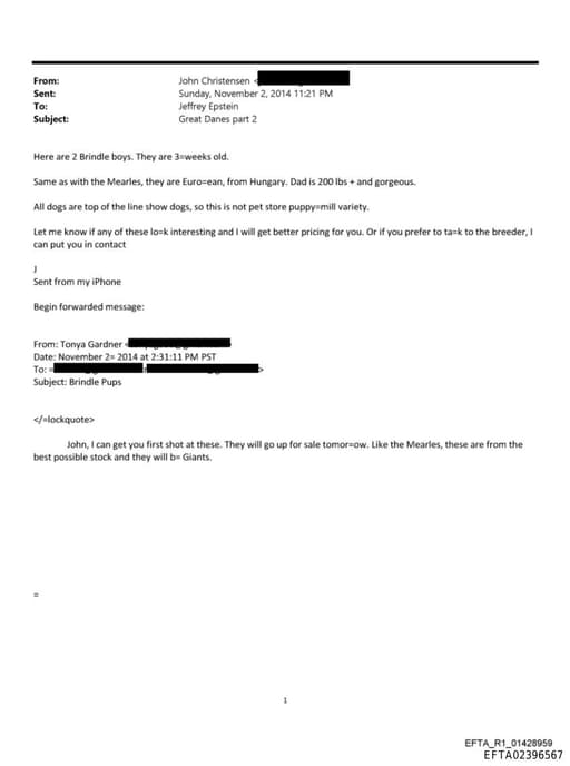 Preview of EFTA02396567