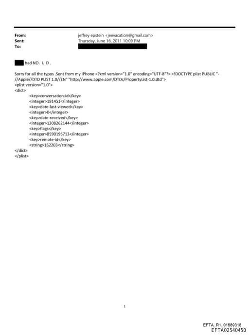 Preview of EFTA02540450