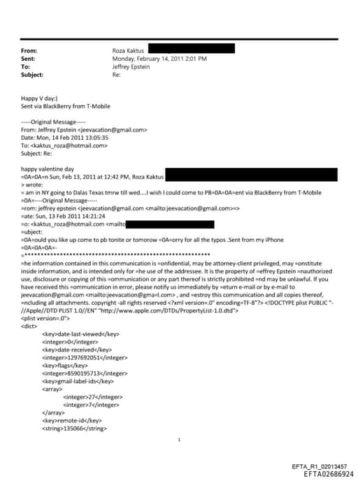 Preview of EFTA02686924