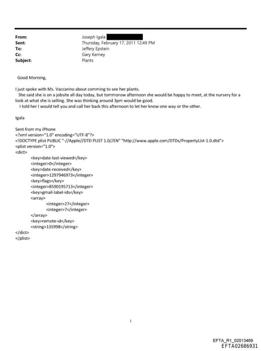 Preview of EFTA02686931