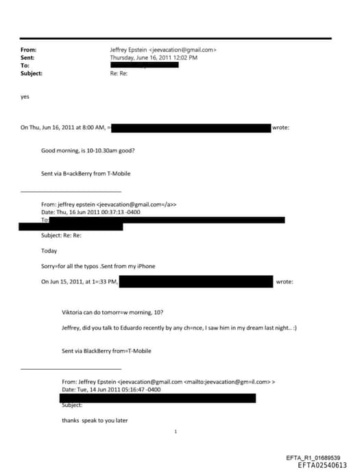 Preview of EFTA02540613