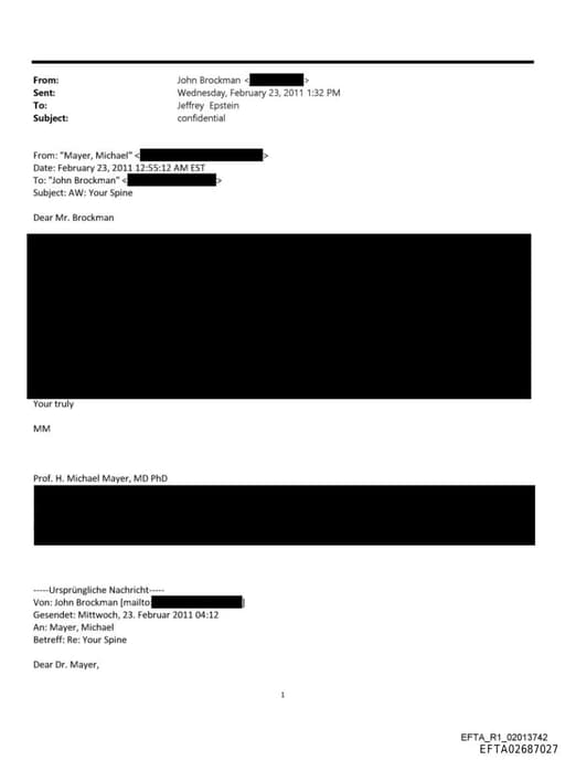 Preview of EFTA02687027