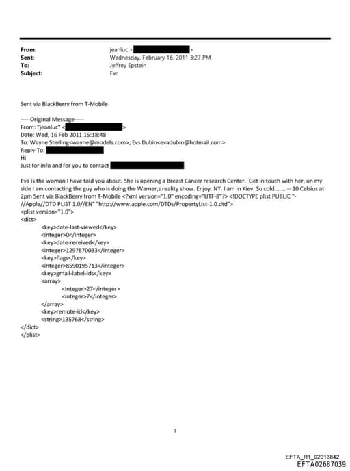 Preview of EFTA02687039