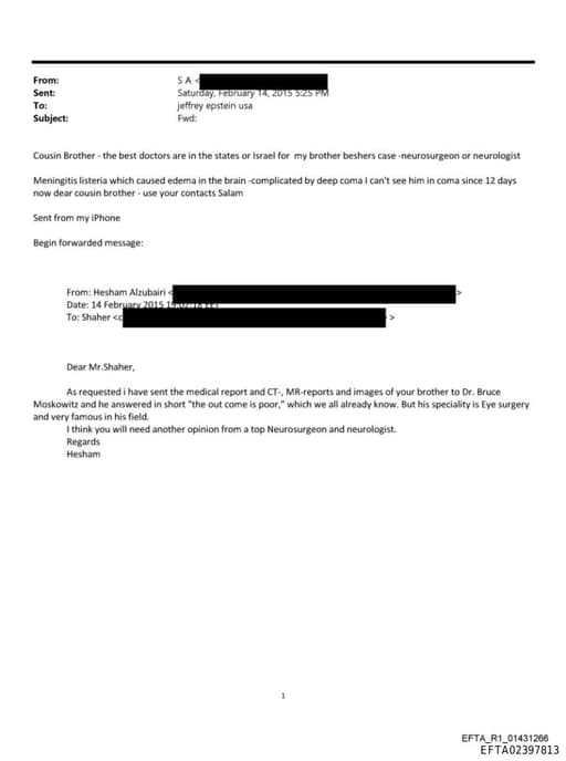 Preview of EFTA02397813