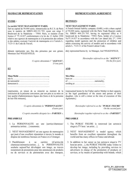 Preview of EFTA02687224