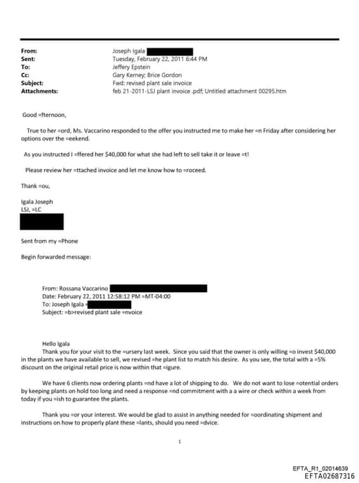 Preview of EFTA02687316