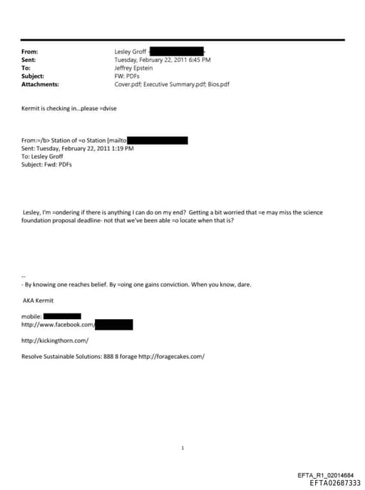 Preview of EFTA02687333