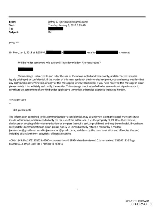 Preview of EFTA02541130