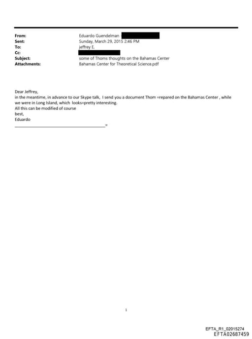 Preview of EFTA02687459