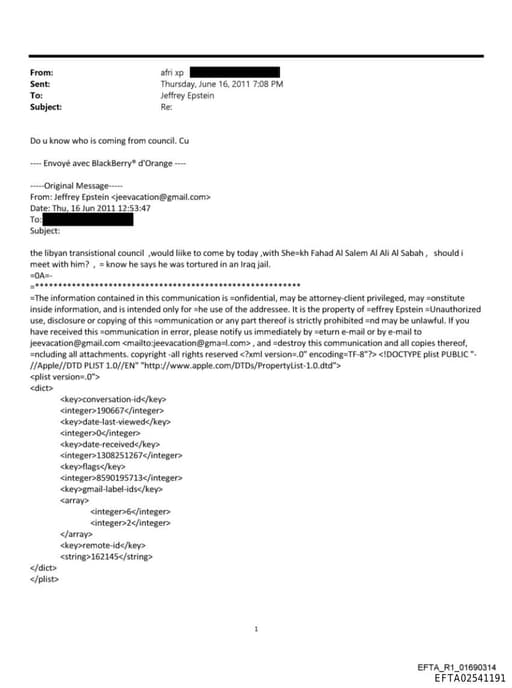 Preview of EFTA02541191