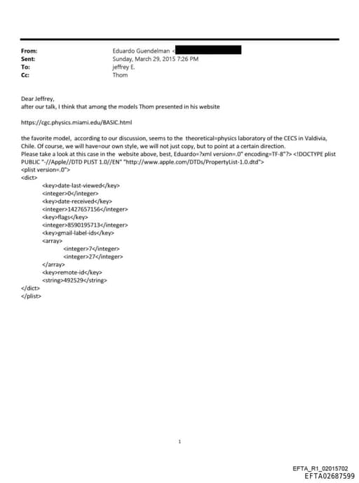 Preview of EFTA02687599