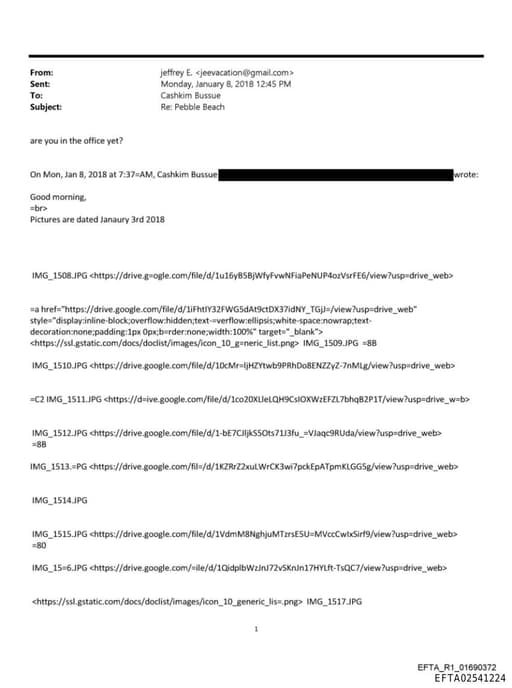 Preview of EFTA02541224