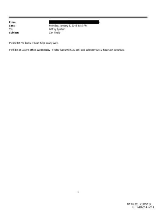 Preview of EFTA02541251