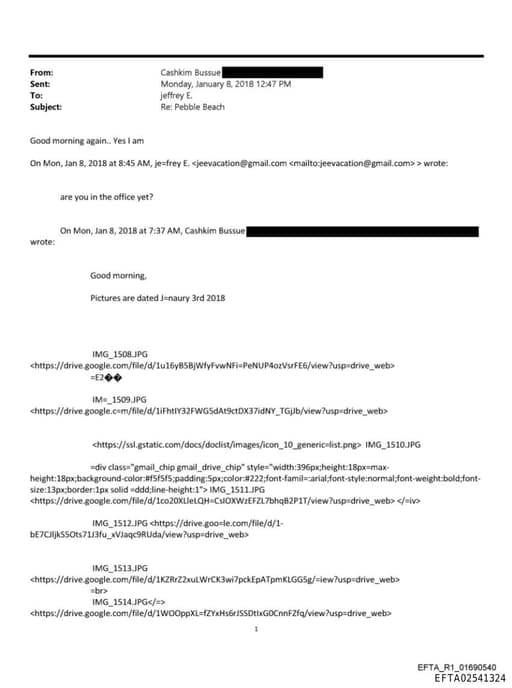 Preview of EFTA02541324