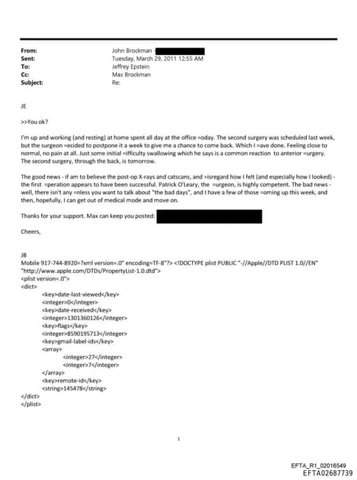 Preview of EFTA02687739