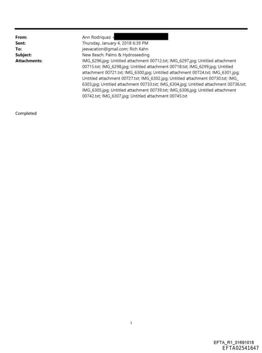 Preview of EFTA02541647