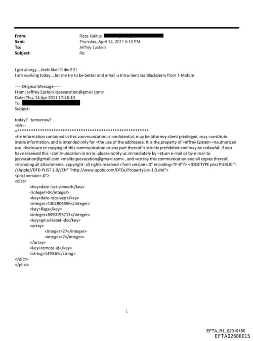 Preview of EFTA02688015