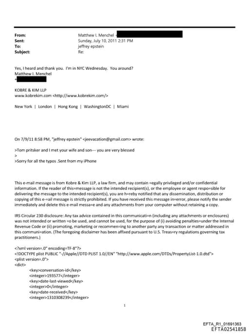 Preview of EFTA02541858