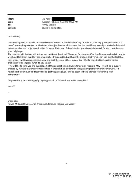 Preview of EFTA02399540