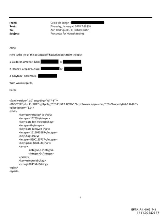 Preview of EFTA02542137