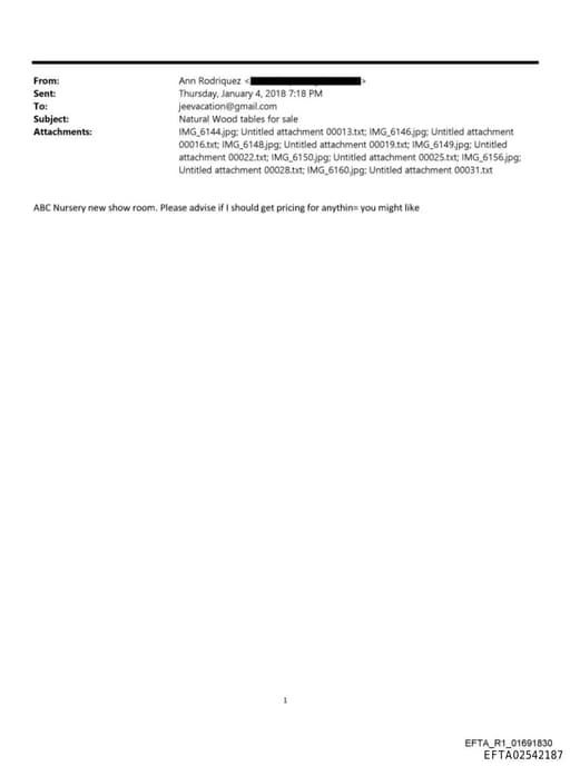 Preview of EFTA02542187