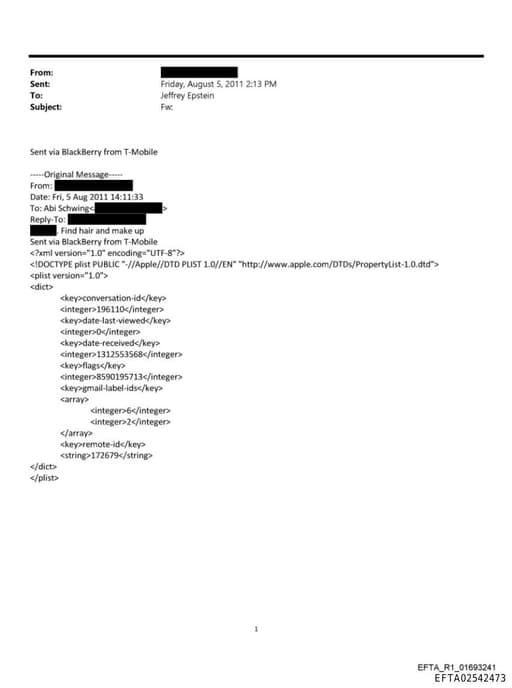 Preview of EFTA02542473