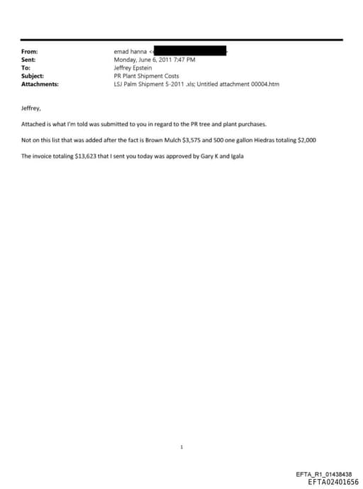 Preview of EFTA02401656