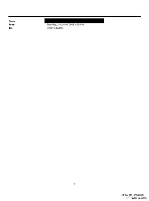 Preview of EFTA02542802