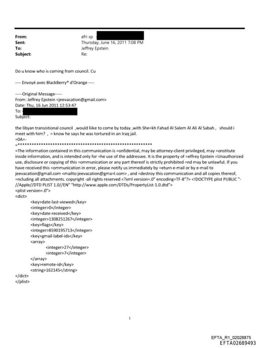 Preview of EFTA02689493