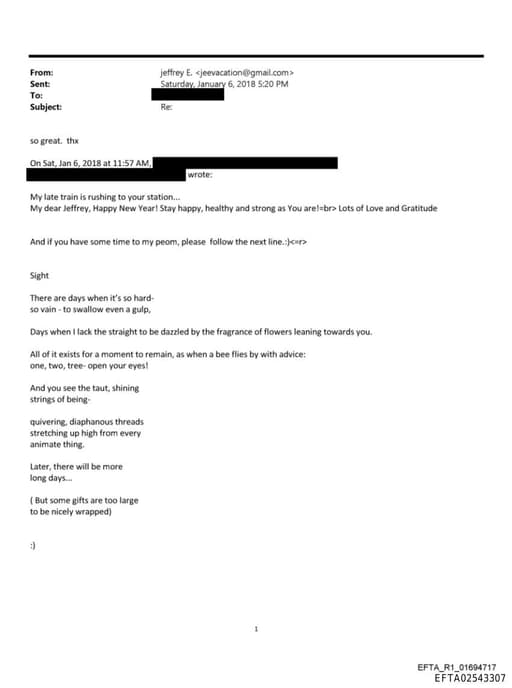 Preview of EFTA02543307