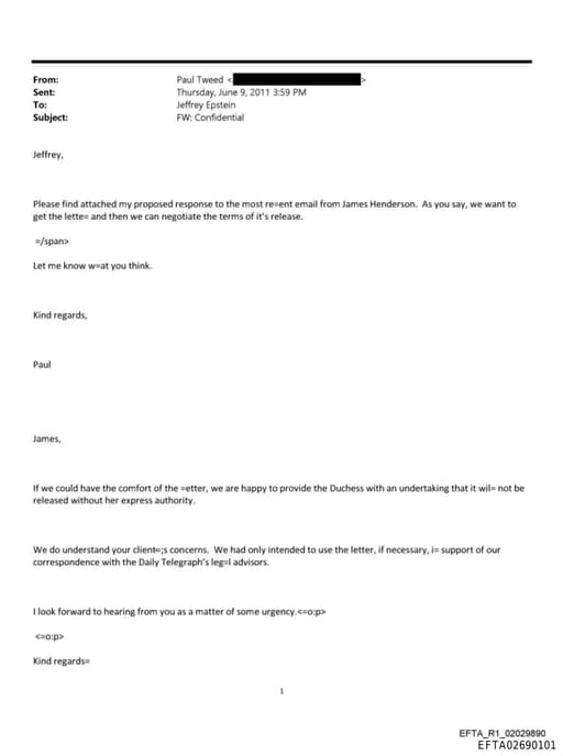 Preview of EFTA02690101