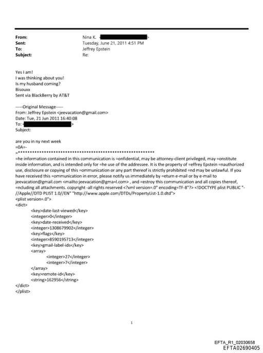 Preview of EFTA02690405