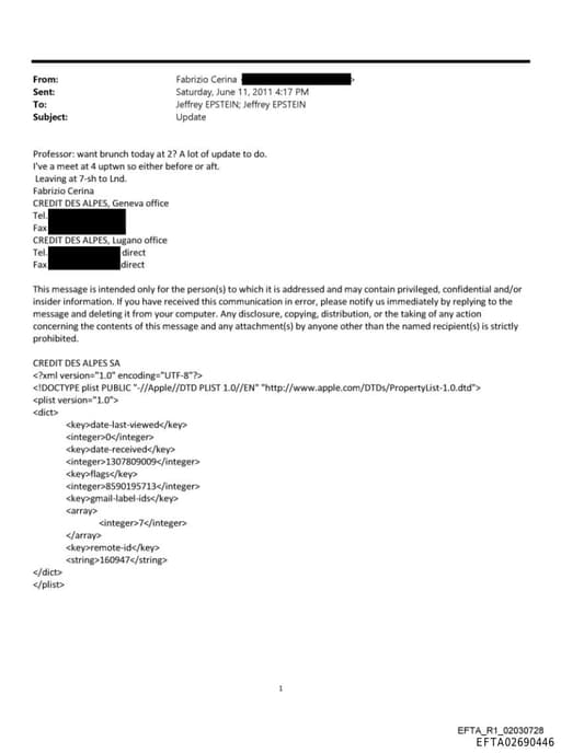 Preview of EFTA02690446