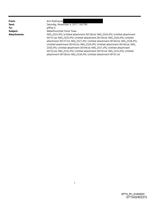 Preview of EFTA02403371