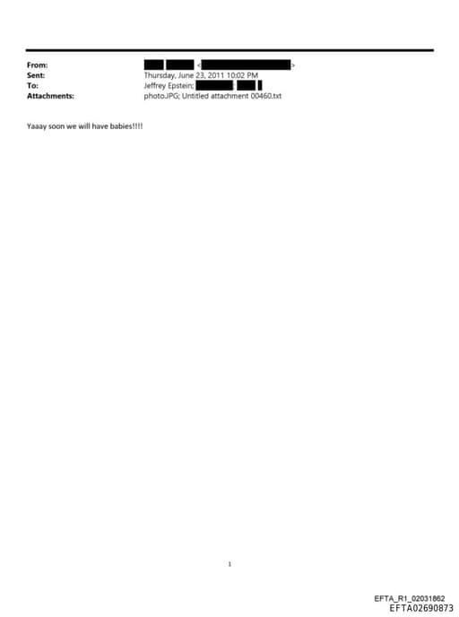 Preview of EFTA02690873