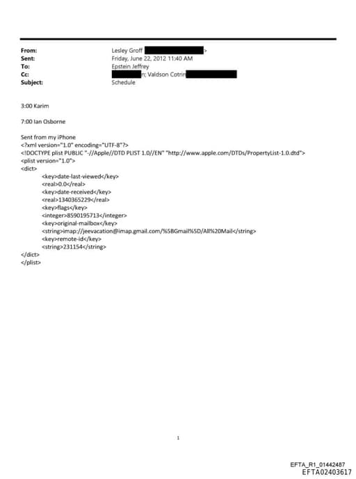 Preview of EFTA02403617