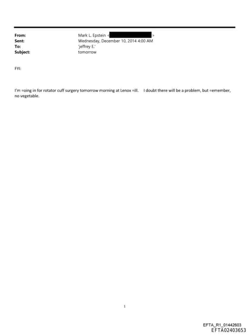 Preview of EFTA02403653