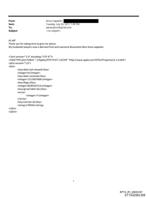 Preview of EFTA02691308