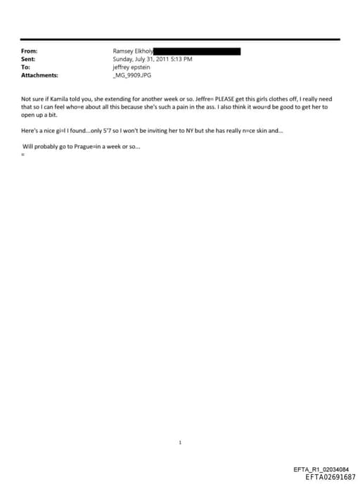 Preview of EFTA02691687