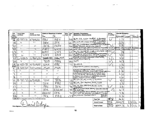 Preview of FLIGHT_MANIFEST_0498